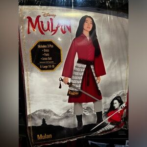 Disney Mulan Adult costume